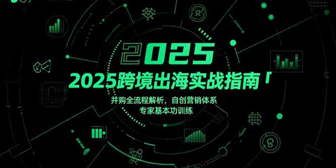 （15503期）2025跨境出海实战指南，并购全流程解析，自创营销体系，专家基本功训练网创项目_汇创网_中创网_福缘网_冒泡网_资源整合平台网创吧