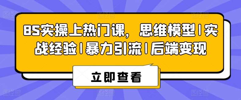 8S实操上热门课，思维模型|实战经验|暴力引流|后端变现网创项目_汇创网_中创网_福缘网_冒泡网_资源整合平台网创吧