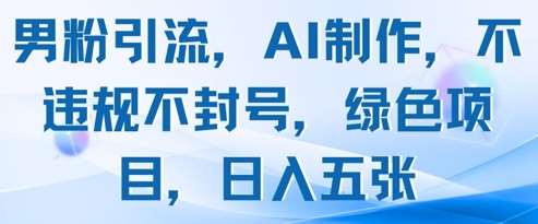 男粉引流，AI制作，不违规不封号，绿色项目，日入五张网创项目_汇创网_中创网_福缘网_冒泡网_资源整合平台网创吧
