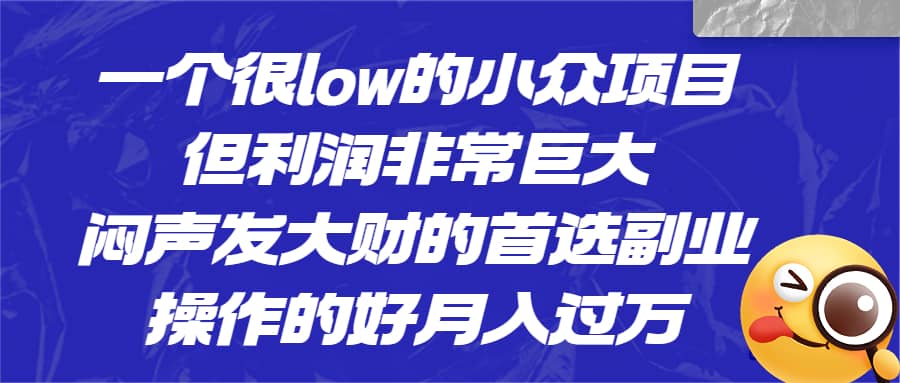 一个很low的小众项目，但利润非常巨大，闷声发大财的首选副业，月入过万网创项目_汇创网_中创网_福缘网_冒泡网_资源整合平台网创吧