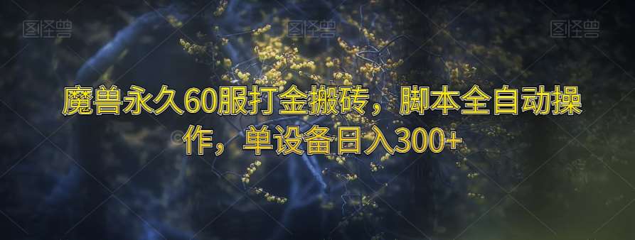 魔兽永久60服打金搬砖，脚本全自动操作，单设备日入300+【揭秘】网创项目_汇创网_中创网_福缘网_冒泡网_资源整合平台网创吧