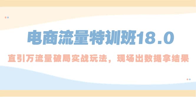 电商流量特训班18.0，直引万流量破局实操玩法，现场出数据拿结果副业基地_汇创网_中创网_福缘网_冒泡网_资源整合平台网创吧
