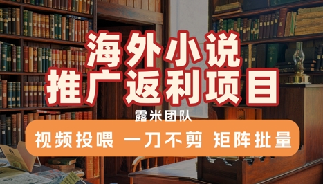 海外小说推广返利项目，视频投喂， 一刀不剪，矩阵批量网创项目_汇创网_中创网_福缘网_冒泡网_资源整合平台网创吧