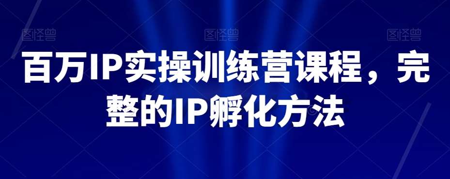 百万IP实操训练营课程，完整的IP孵化方法网创吧-网创项目资源站-副业项目-创业项目-搞钱项目网创吧