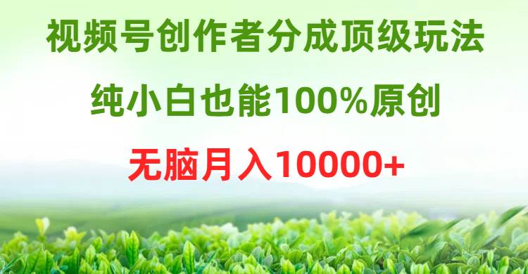 （9608期）视频号创作者分成顶级玩法，纯小白也能100%原创，无脑月入10000+网创项目_汇创网_中创网_福缘网_冒泡网_资源整合平台网创吧