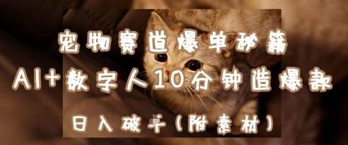 宠物赛道爆单秘籍：AI+数字人10分钟造爆款，日入1k副业基地_汇创网_中创网_福缘网_冒泡网_资源整合平台网创吧