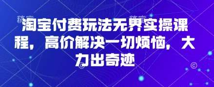淘宝付费玩法无界实操课程，高价解决一切烦恼，大力出奇迹网创吧-网创项目资源站-副业项目-创业项目-搞钱项目网创吧