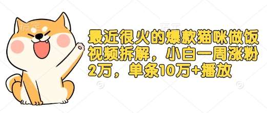最近很火的爆款猫咪做饭视频拆解，小白一周涨粉2万，单条10万+播放(附保姆级教程)网创项目_汇创网_中创网_福缘网_冒泡网_资源整合平台网创吧