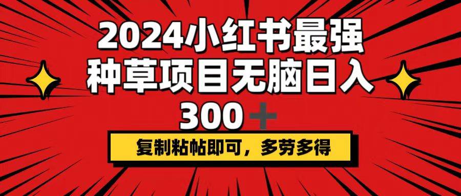 （12336期）2024小红书最强种草项目，无脑日入300+，复制粘帖即可，多劳多得网创项目_汇创网_中创网_福缘网_冒泡网_资源整合平台网创吧