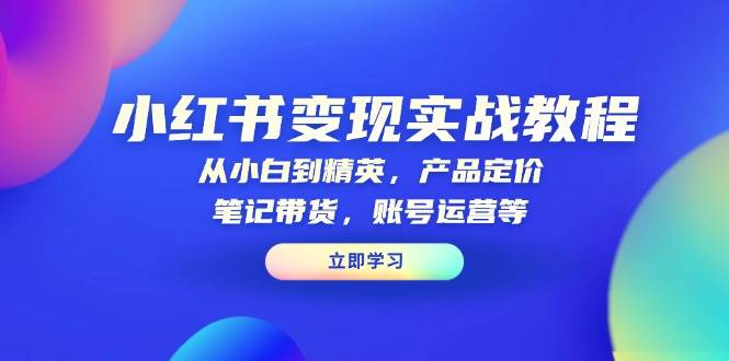 （13923期）小红书变现实战教程：从小白到精英，产品定价，笔记带货，账号运营等网创项目_汇创网_中创网_福缘网_冒泡网_资源整合平台网创吧