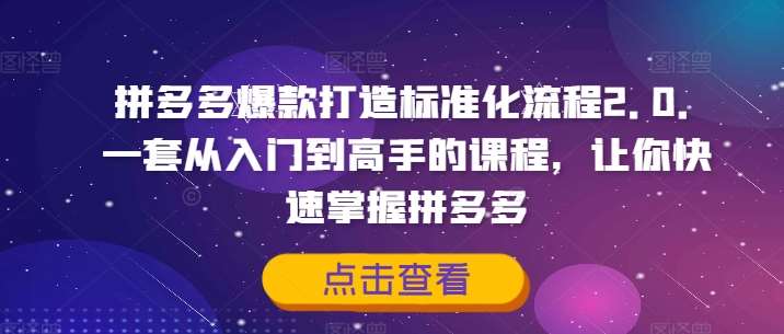 拼多多爆款打造标准化流程2.0，一套从入门到高手的课程，让你快速掌握拼多多网创项目_汇创网_中创网_福缘网_冒泡网_资源整合平台网创吧